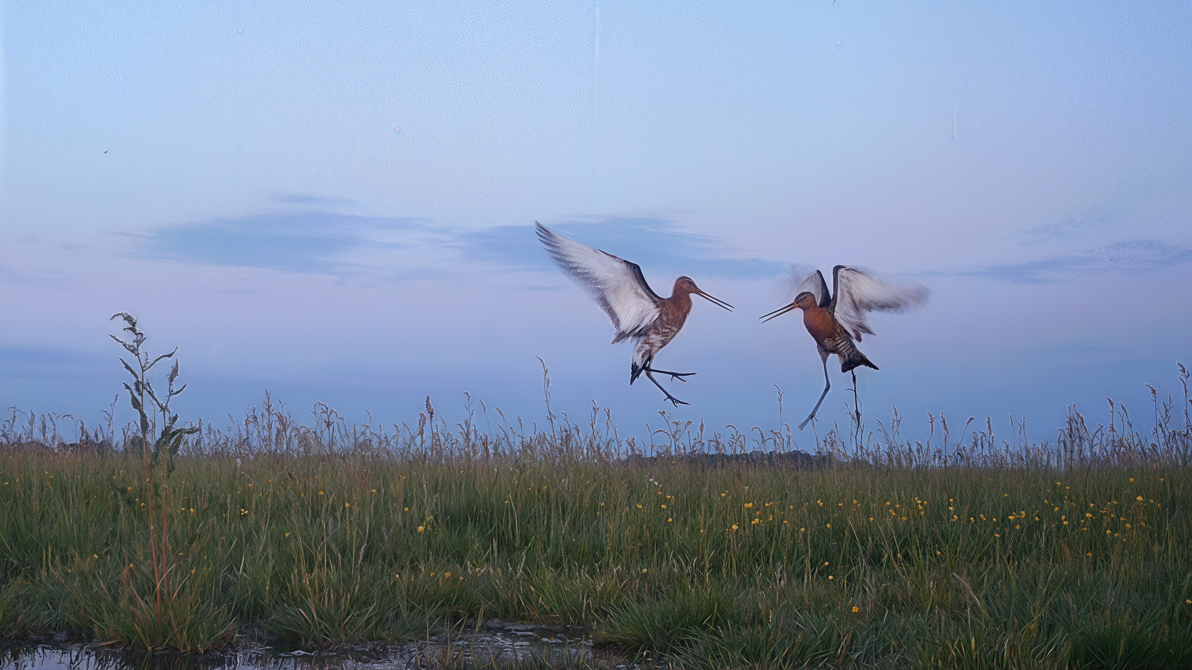 Hoop In De Hoep St 1 Jpg Sd High Cinema Amstelveen (5)