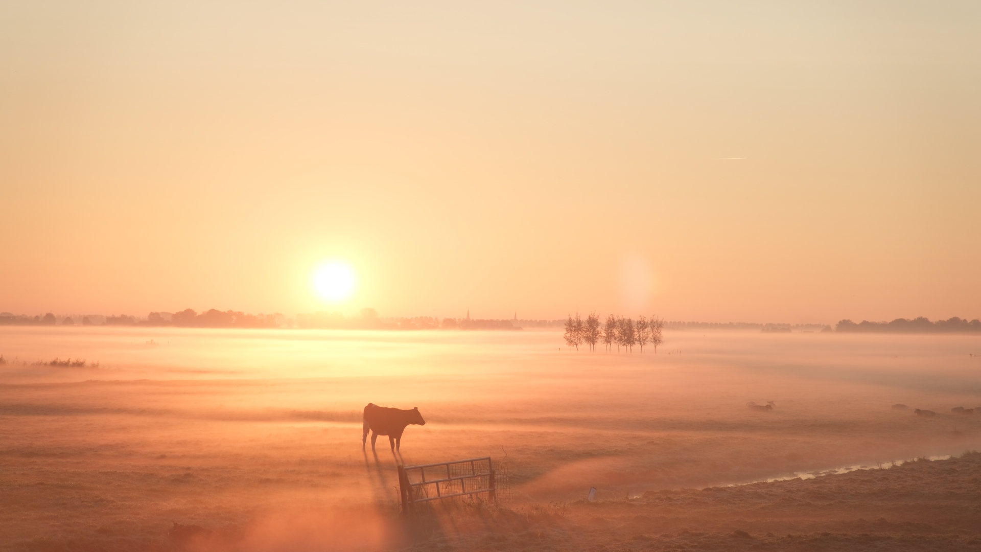 Hoop In De Hoep St 1 Jpg Sd High Cinema Amstelveen (2)