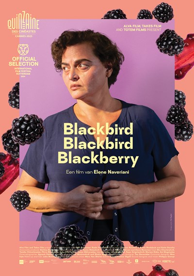 Blackbird Blackbird Blackberry Ps 1 Jpg Sd High ALVA FILM TAKES FILM