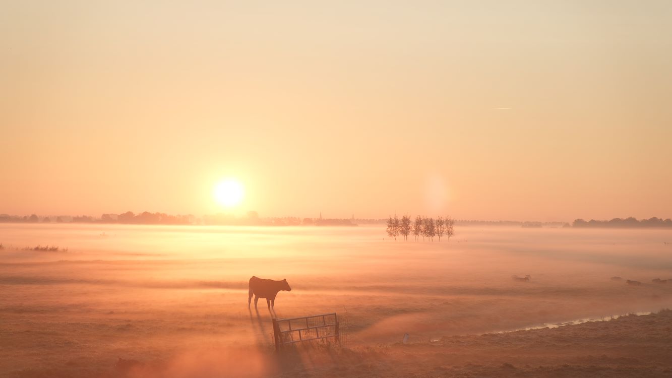 Hoop In De Hoep St 1 Jpg Sd Low Cinema Amstelveen (2)