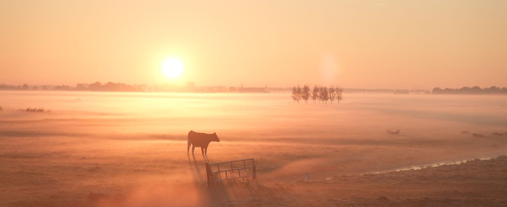Hoop In De Hoep St 1 Jpg Sd Low Cinema Amstelveen (2)
