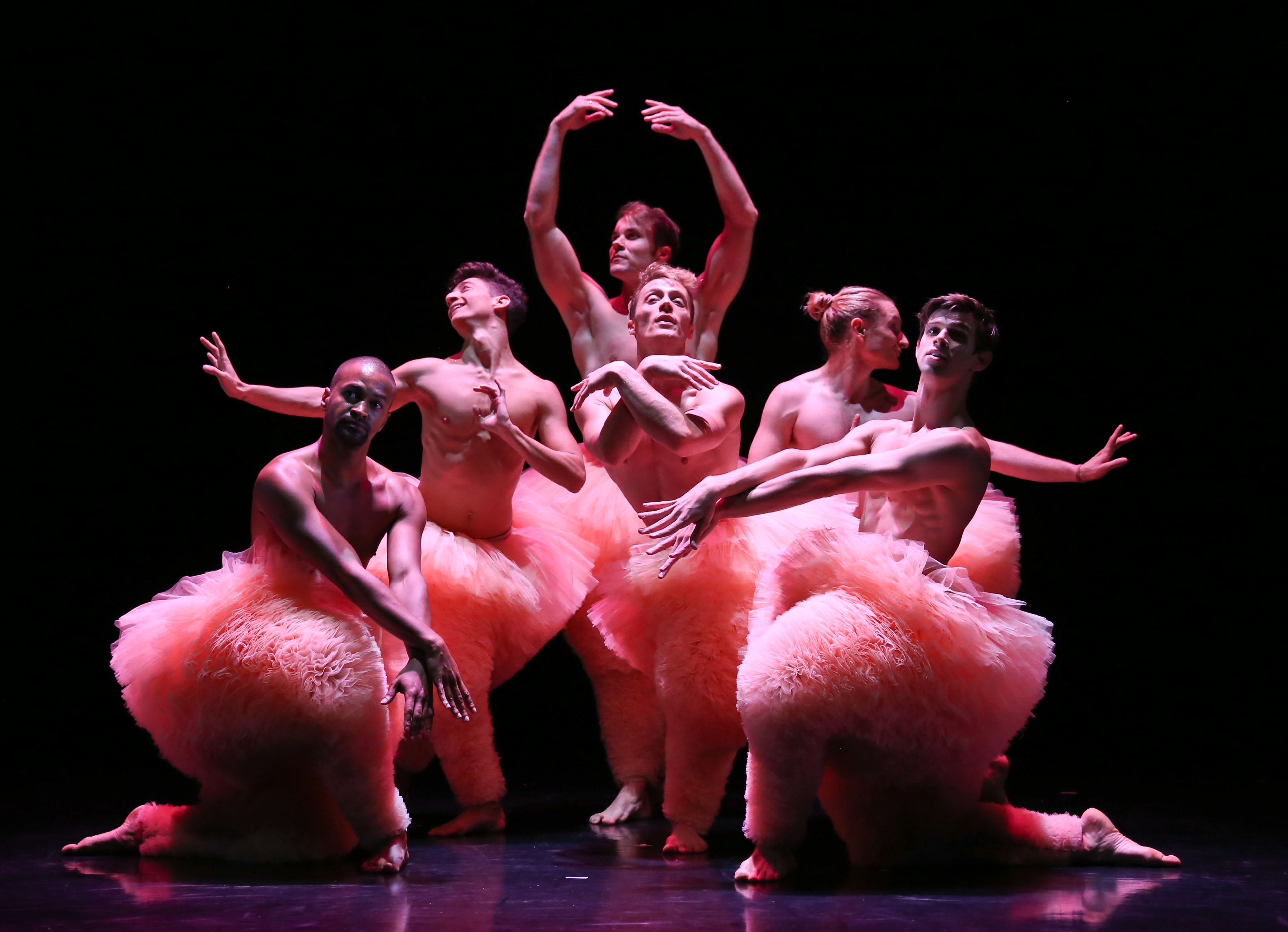 Apr01 GZ Chicos Mambo SF (5)