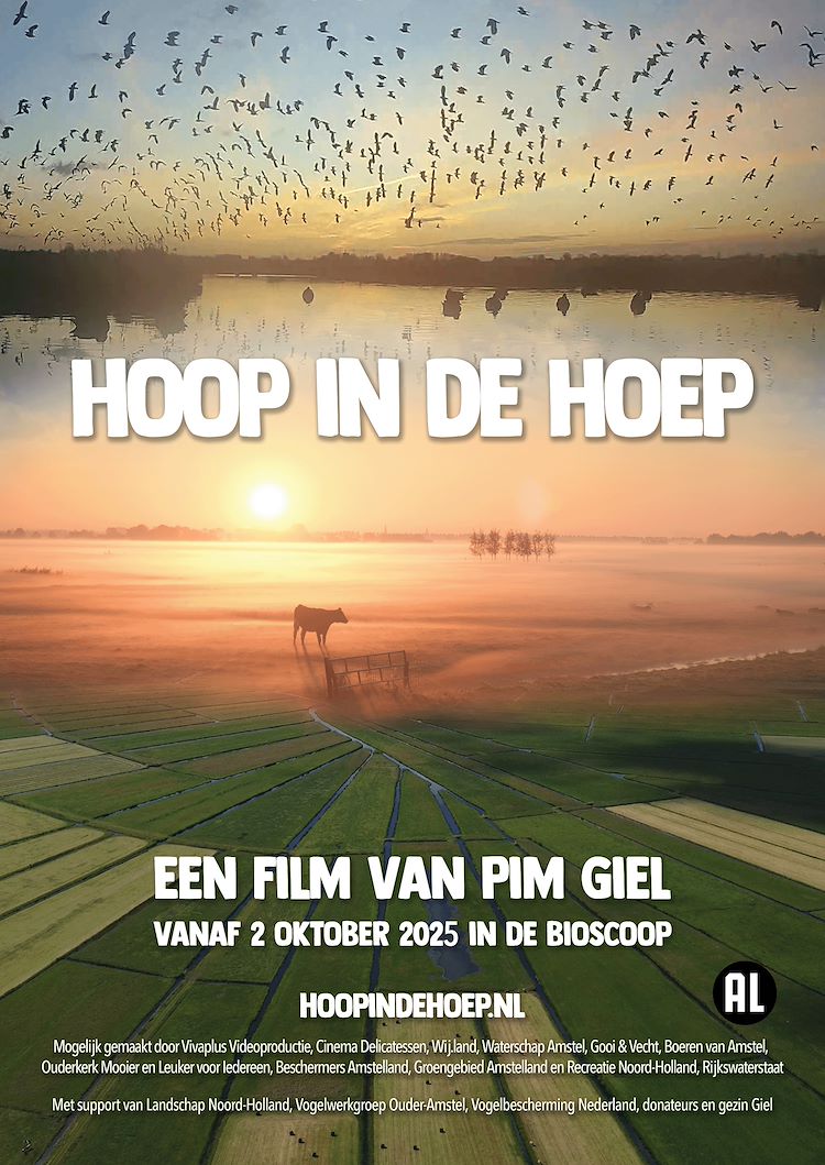 Hoop In De Hoep Ps 1 Jpg Sd Low