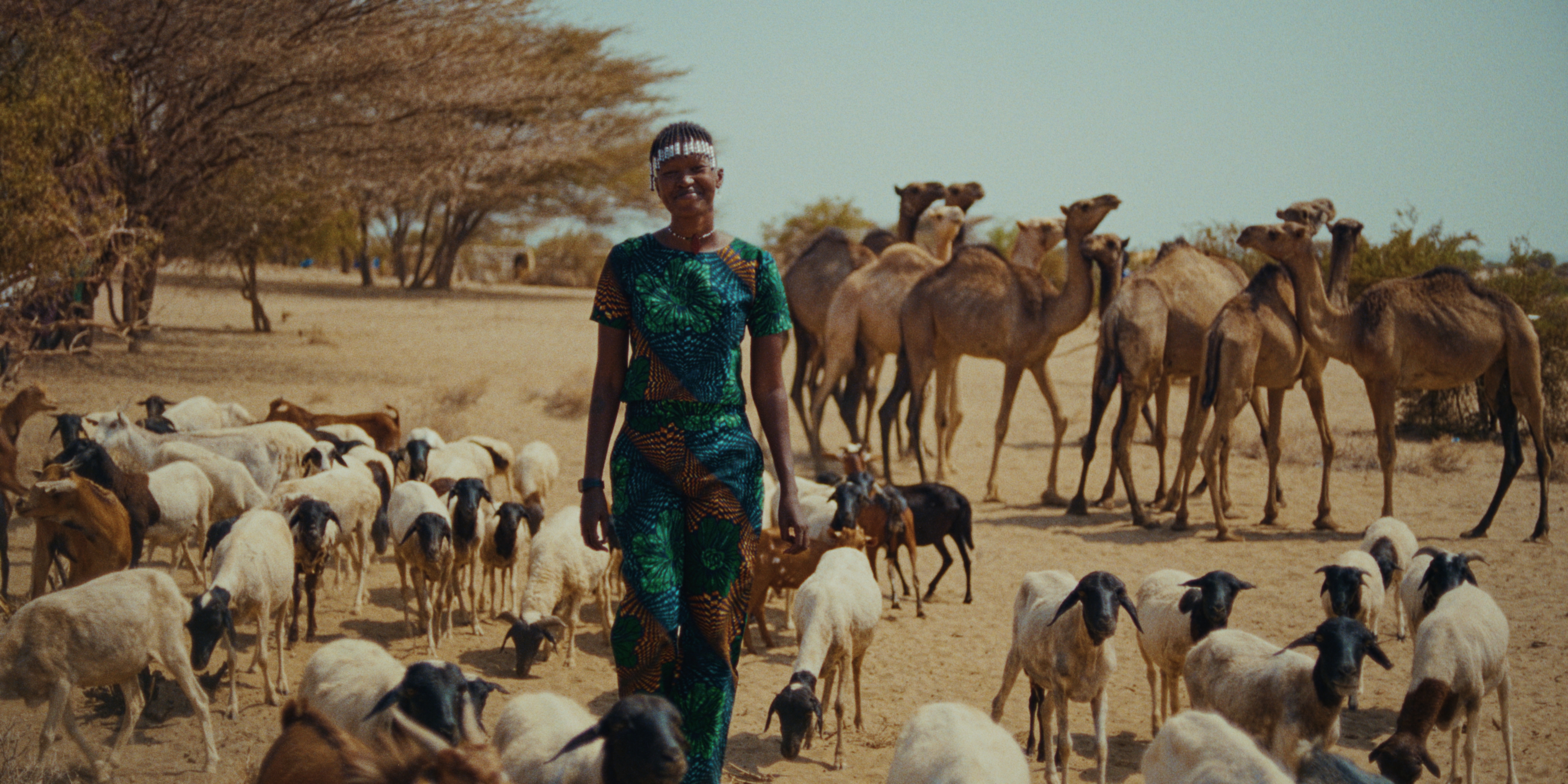 Nawi St 6 Jpg Sd High Cinema Amstelveen