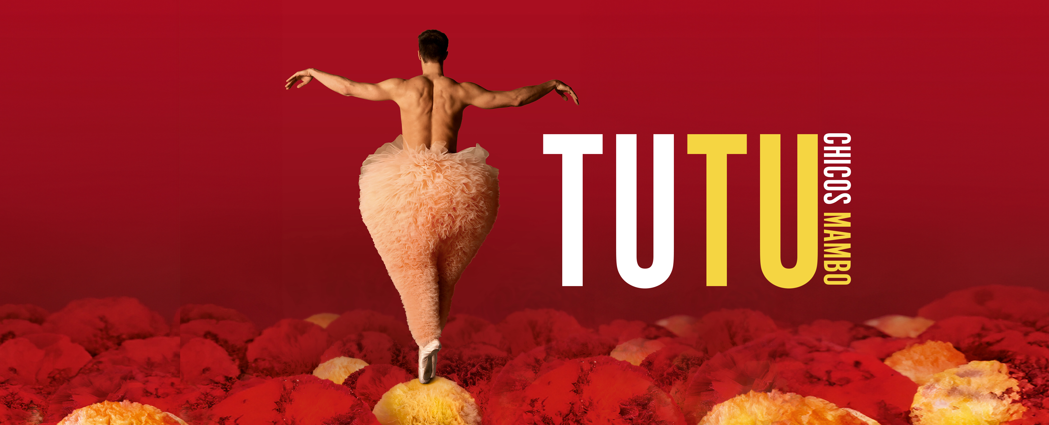 Apr01 GZ Chicos Mambo PF (7)