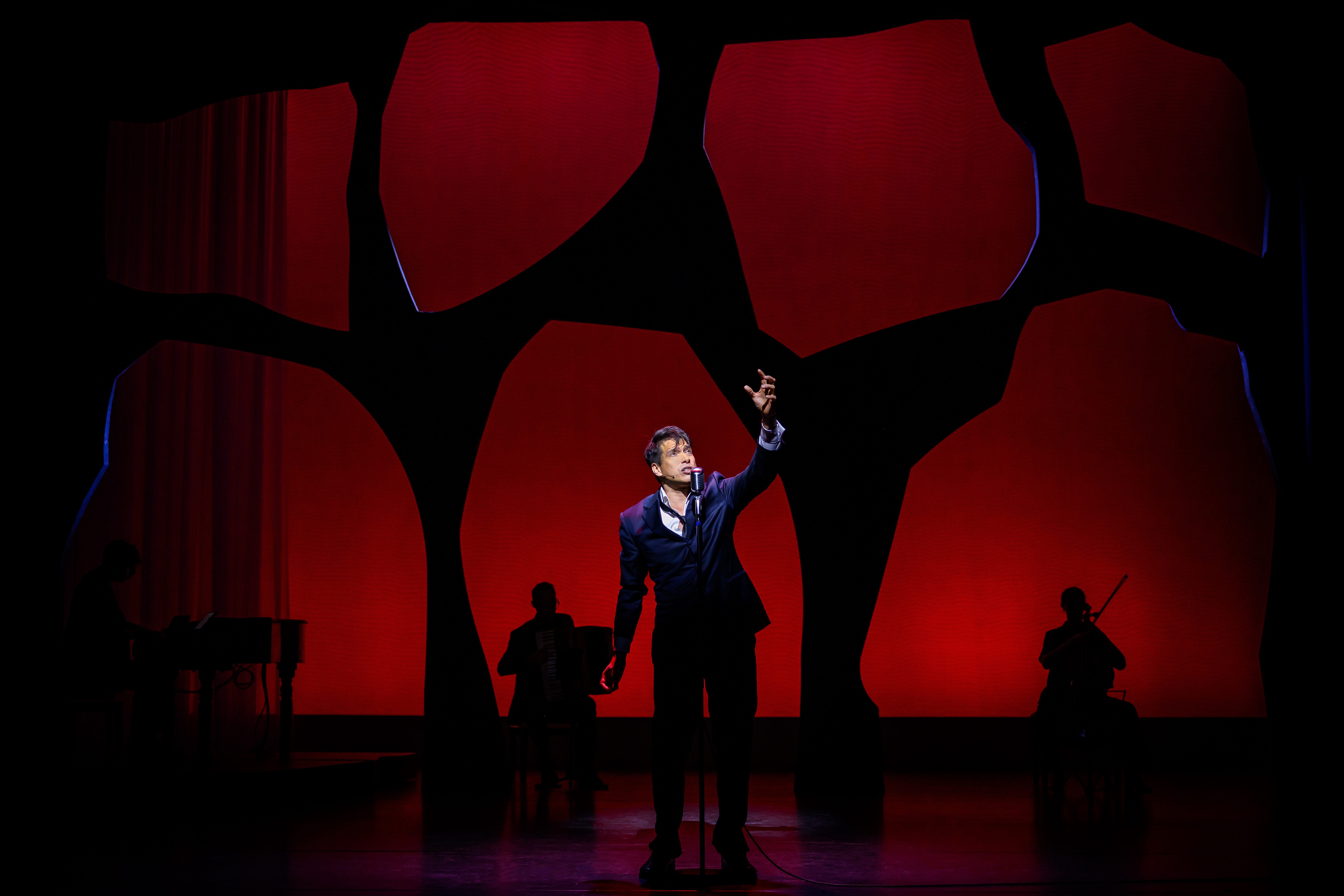 Jan10&11 GZ BREL De Musical SF (5)