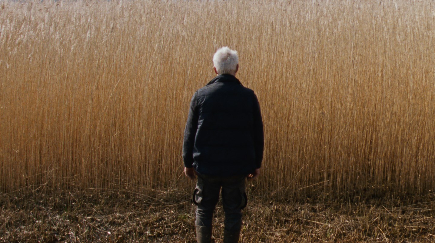 Rietland St 1 Jpg Sd High Cinema Amstelveen