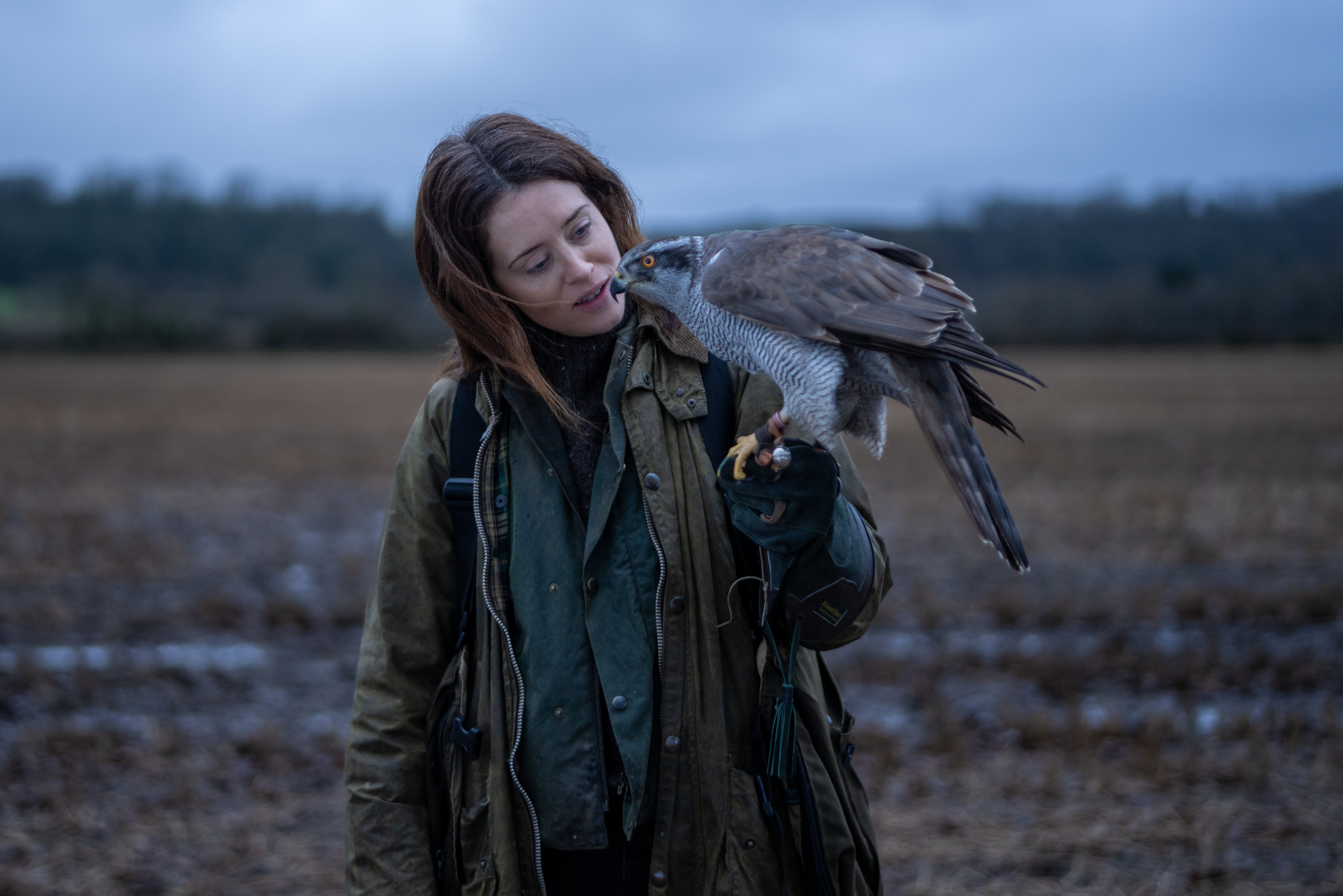 H Is For Hawk St 8 Jpg Sd High