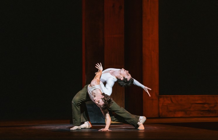 Woolf Works ROHBL (11) (Klein)