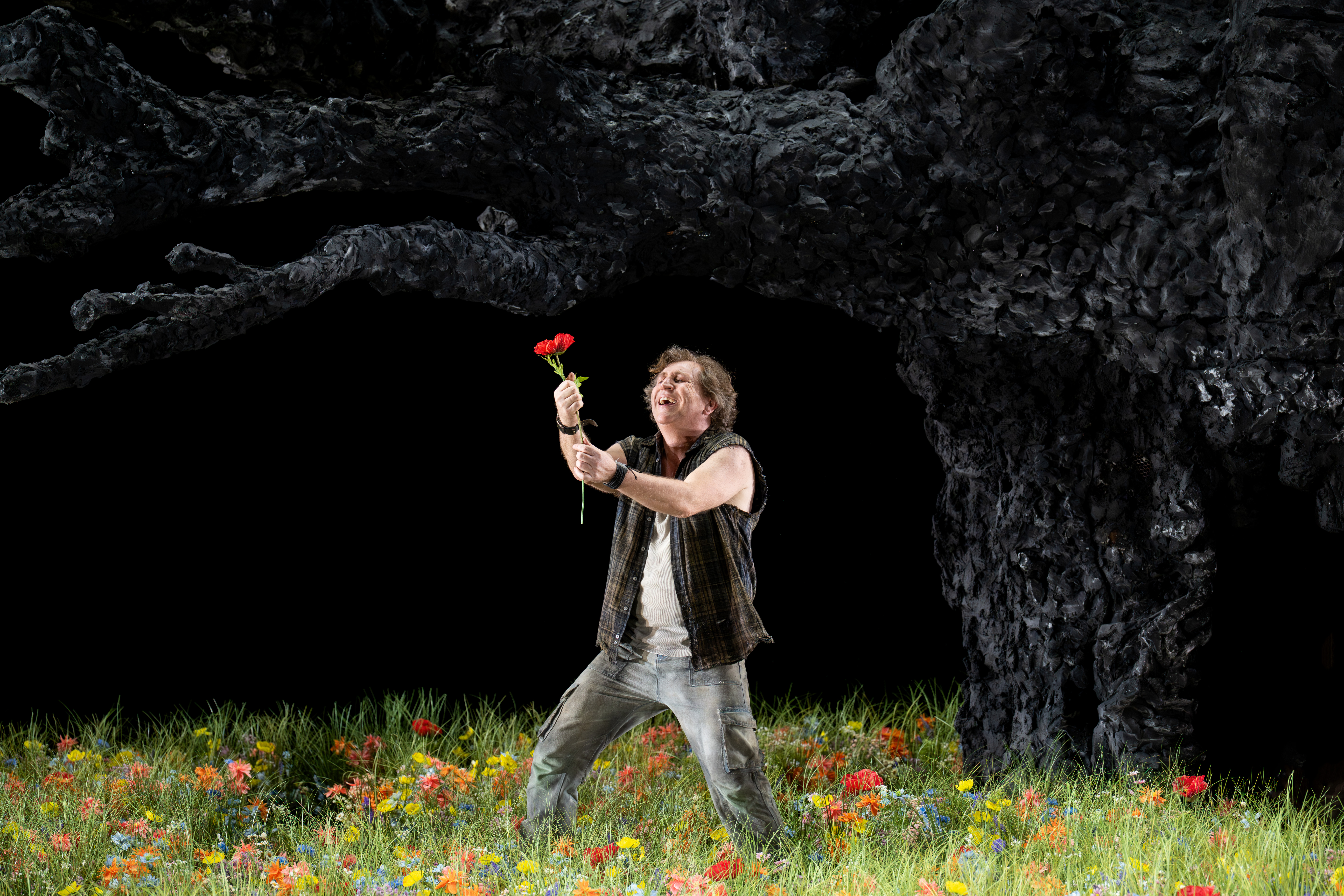 Siegfried Bk Roh 249